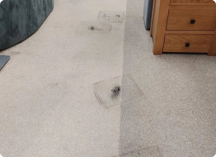 Before Carpet & Upholstery Cleaning