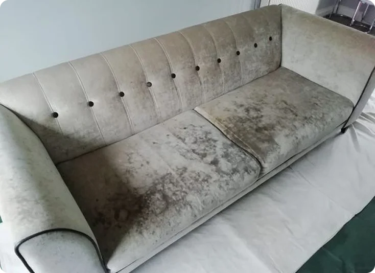 Before Carpet & Upholstery Cleaning