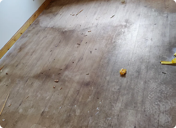 Home Cleaning Before