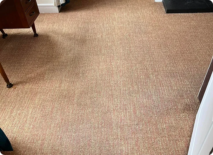 Carpet After